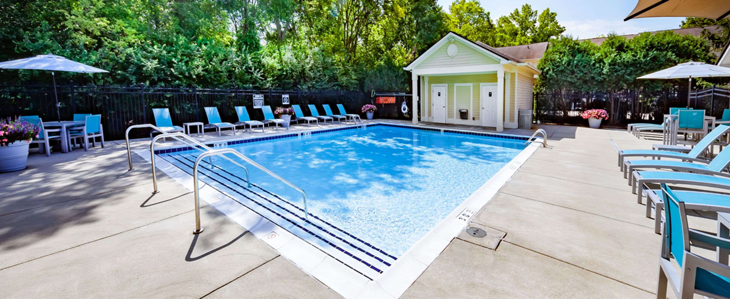 Sparkling Swimming Pool