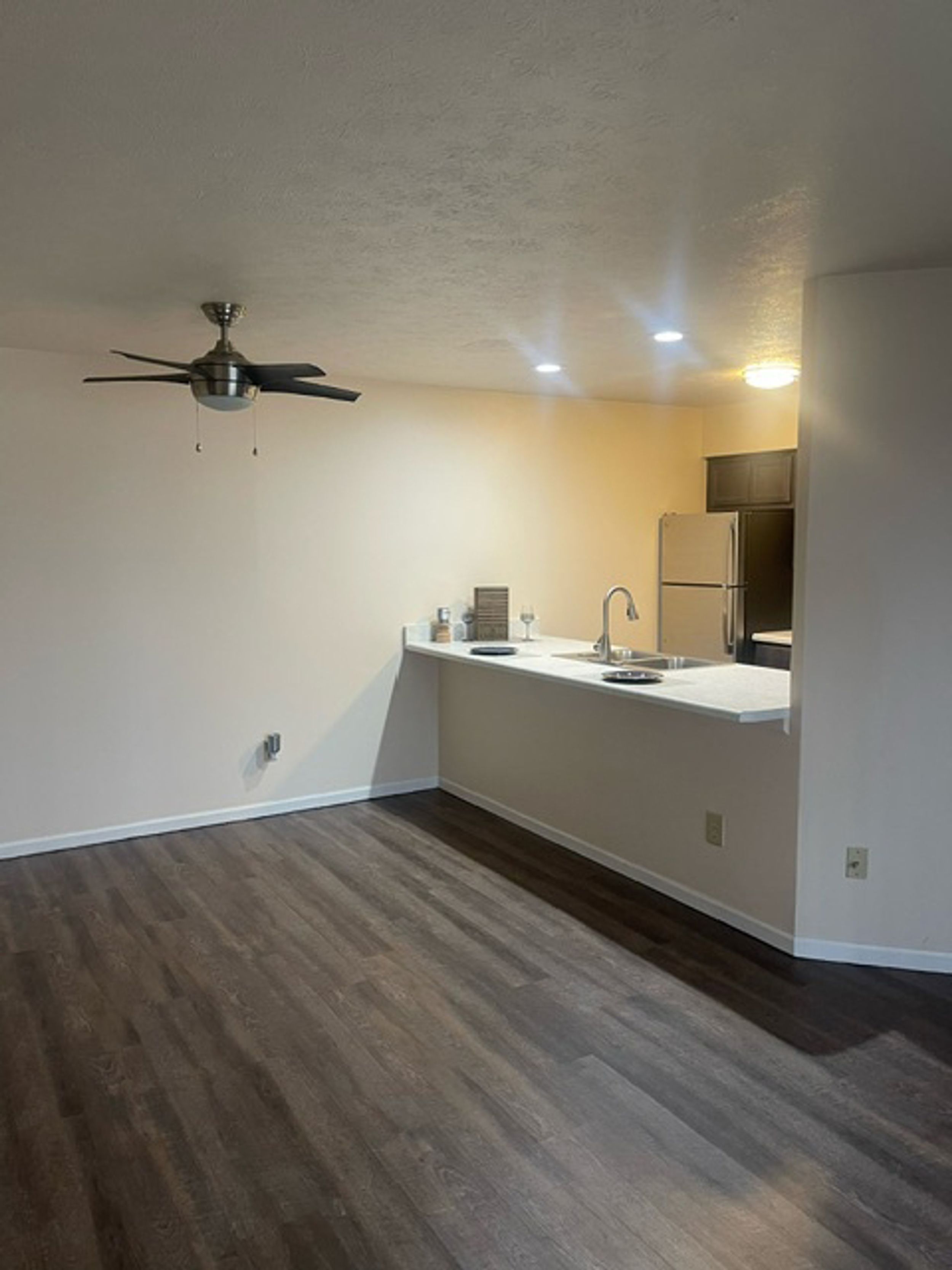 Living room and kitchen 