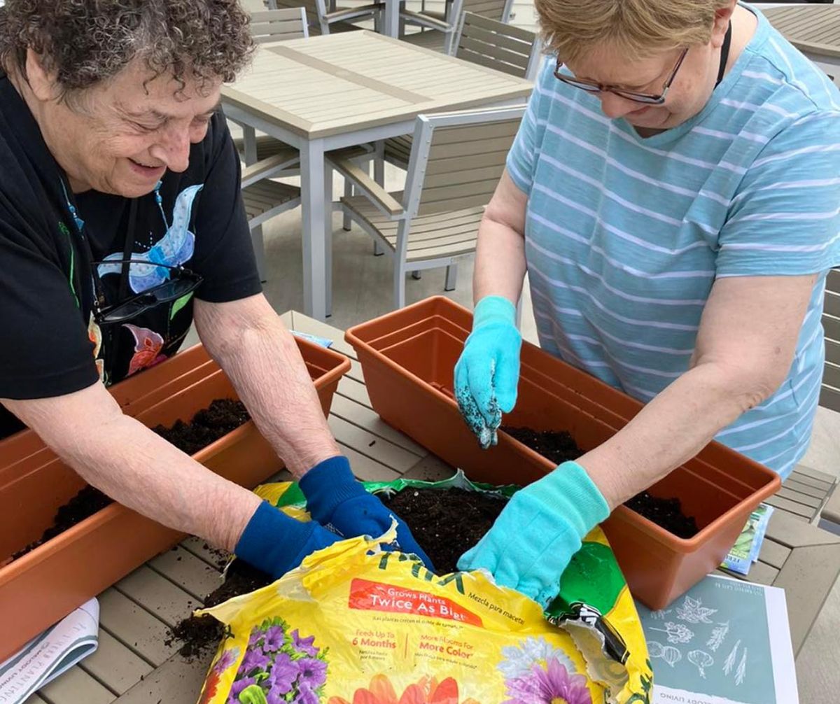 Senior Gardening