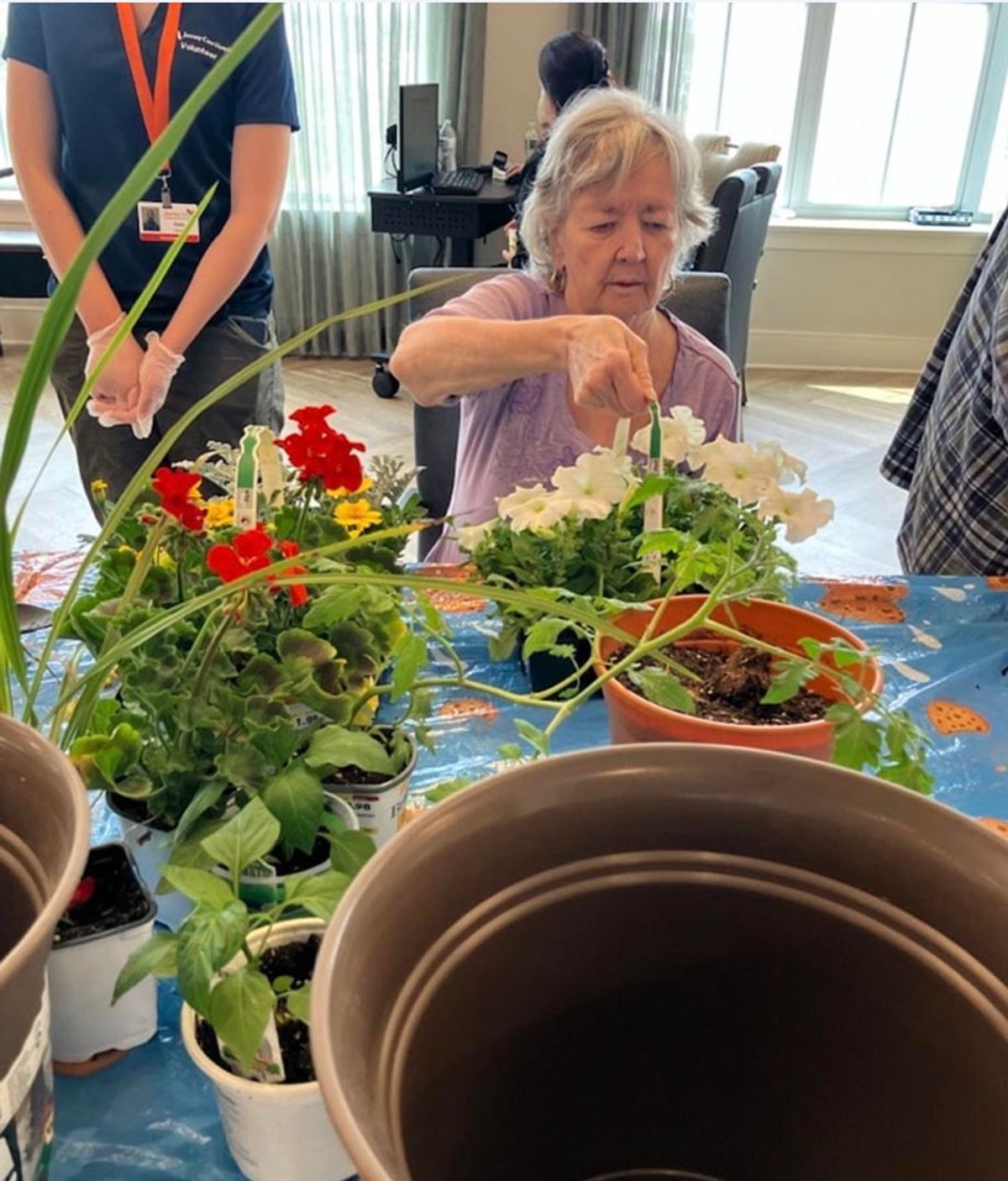 Senior Gardening