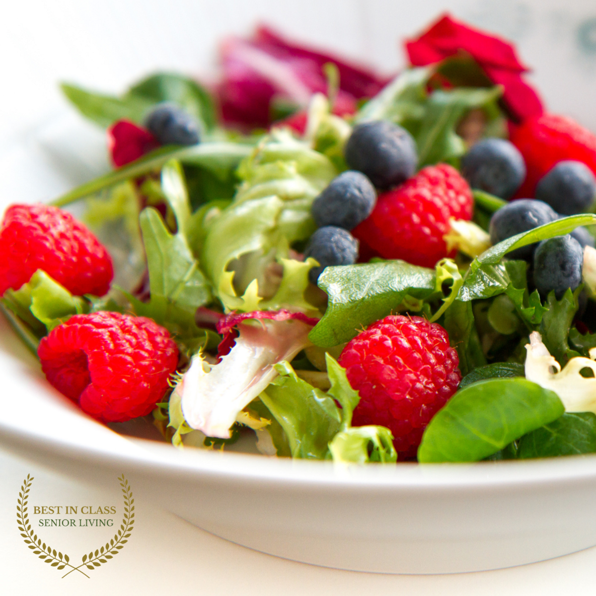 Gourmet Senior Living Dining