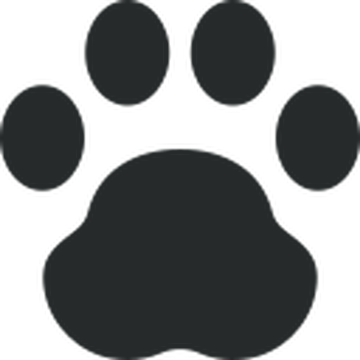 map icon