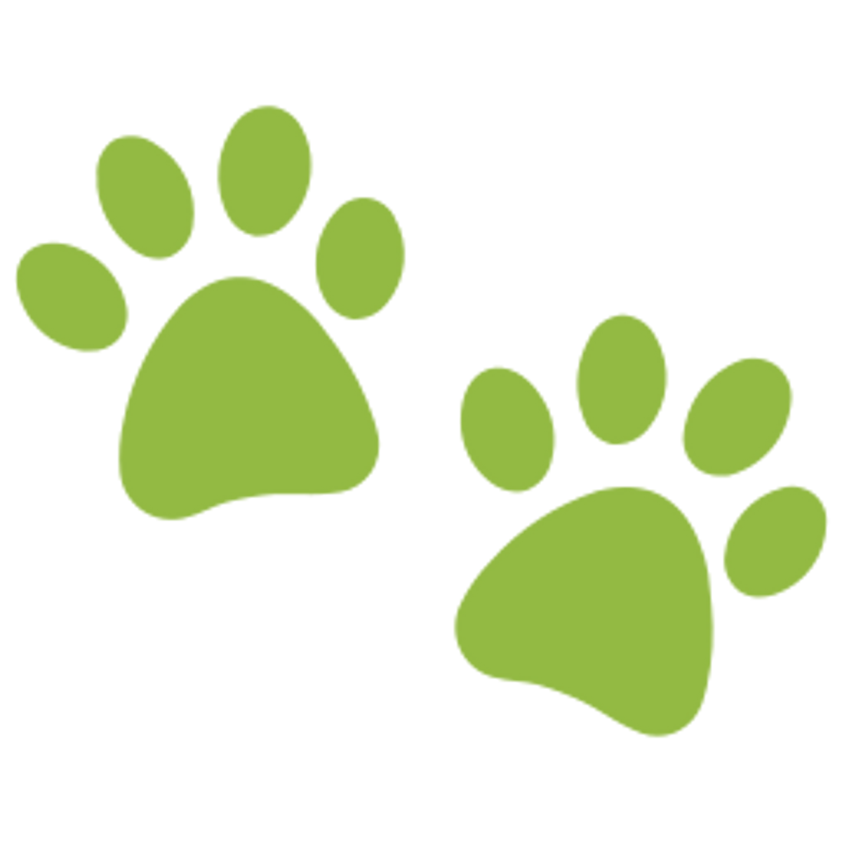 Paw Prints