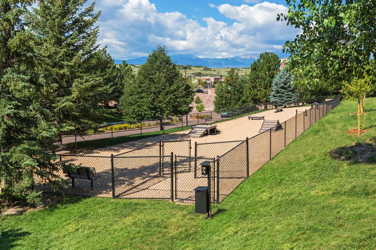 Pet Agility Park