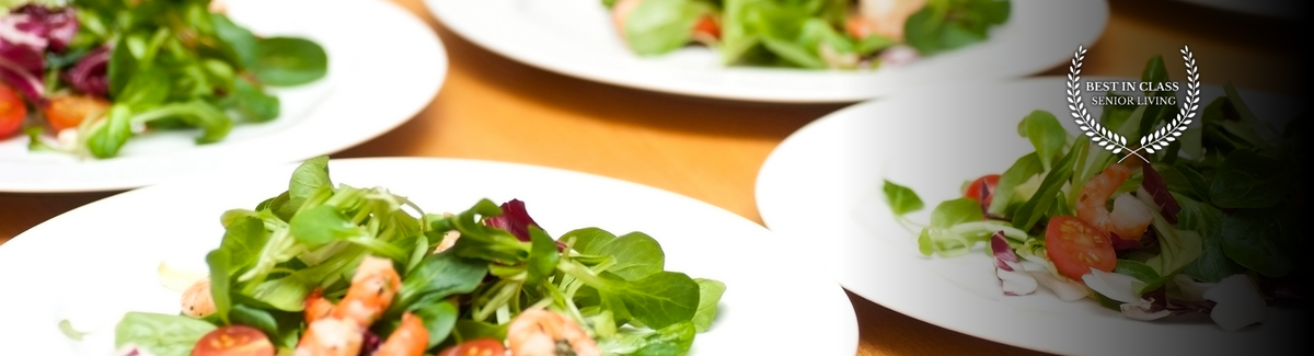 gourmet salad plates