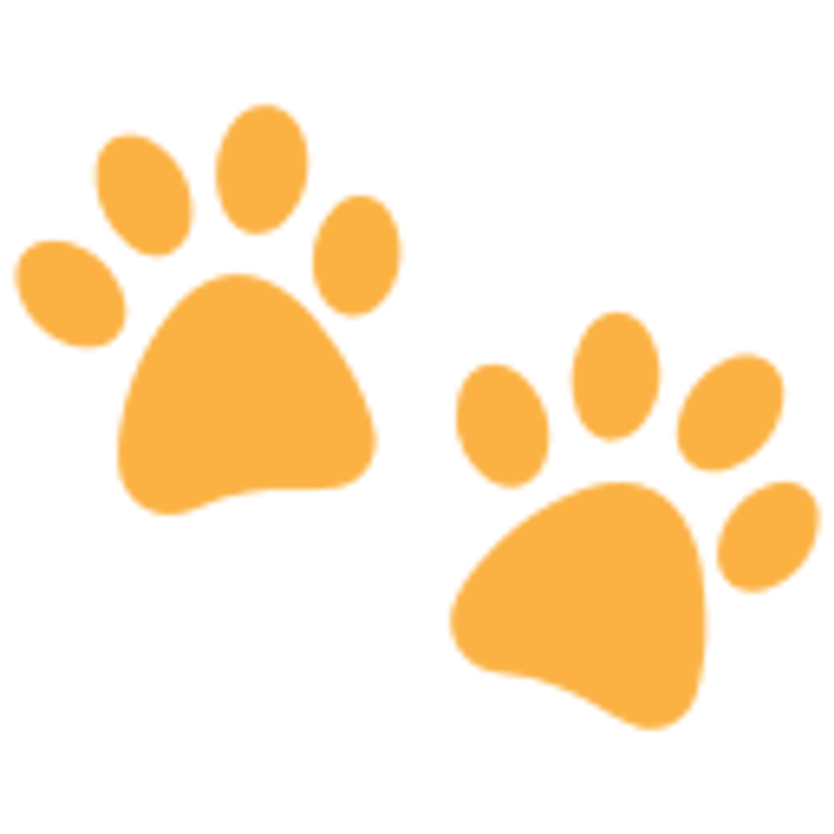 Pets Paws