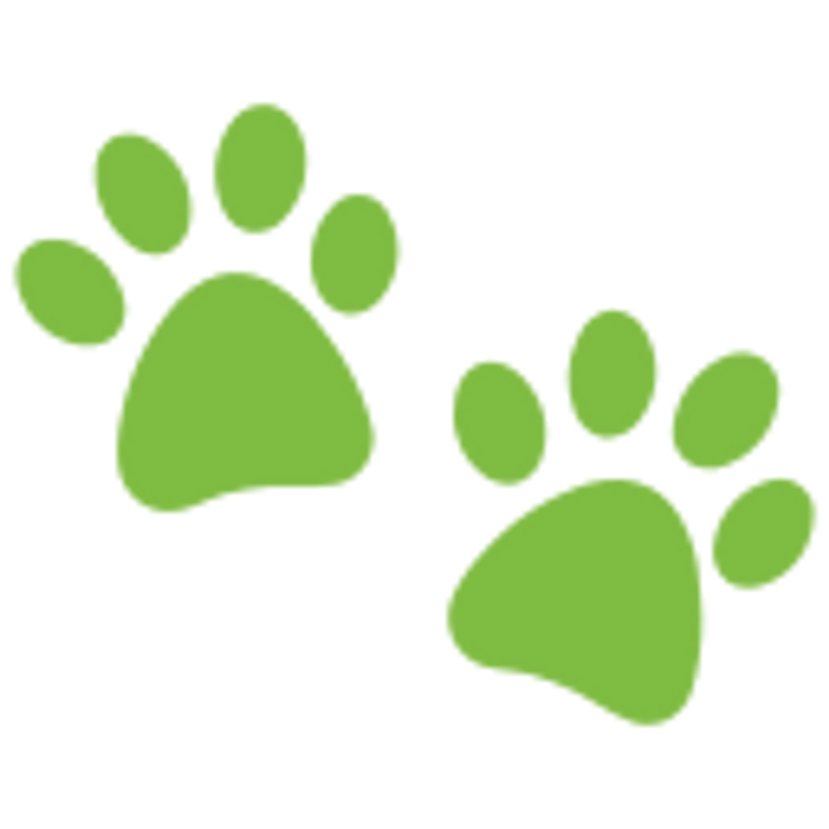 Pet Paws