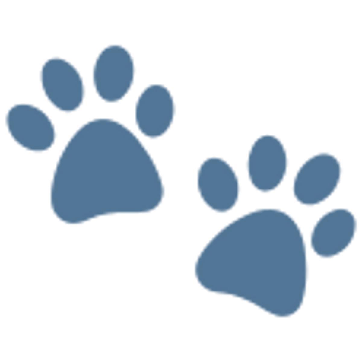 Paws