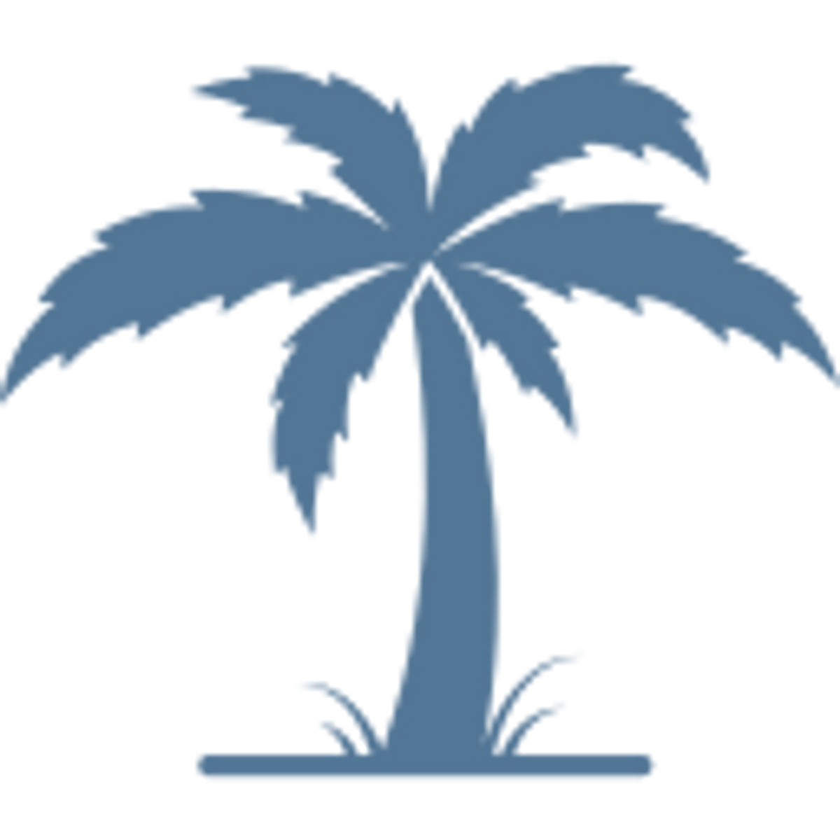 Palm Tree