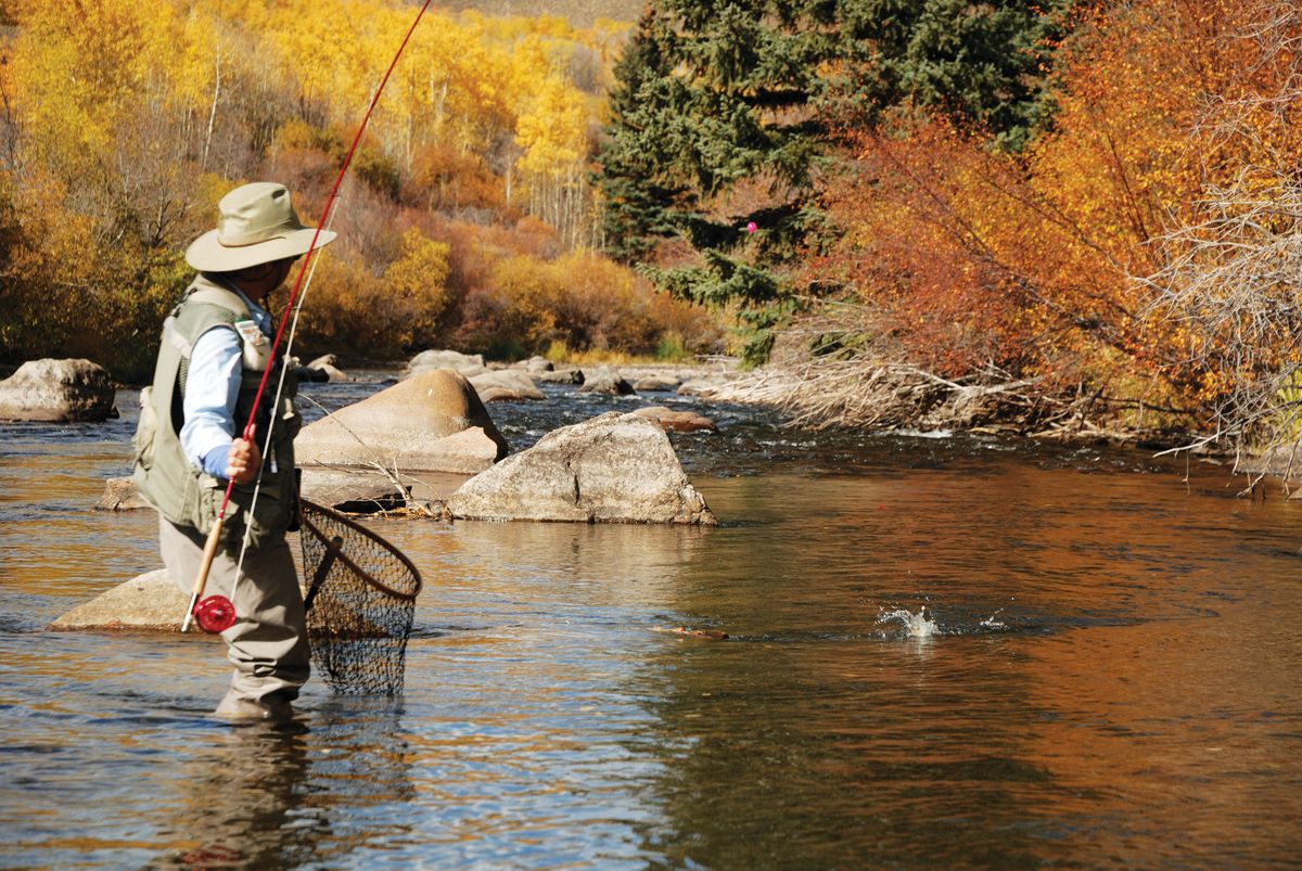 Fisherman 