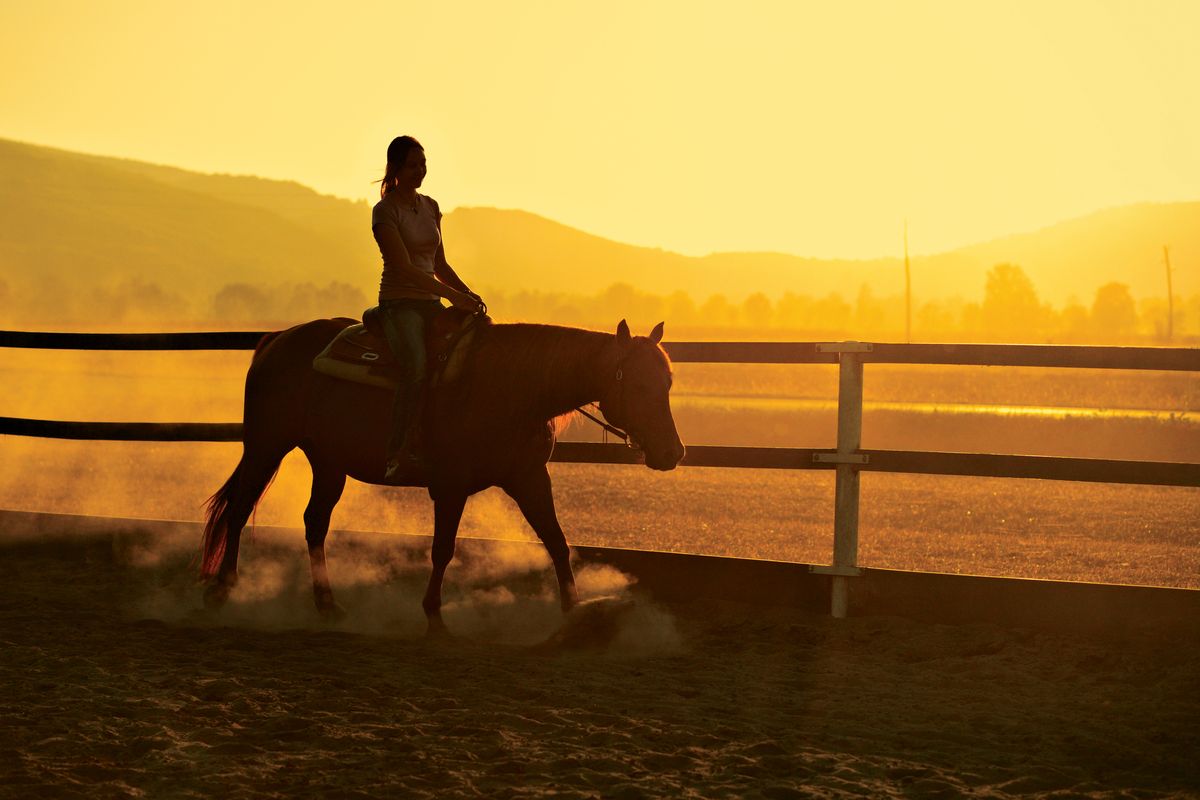 Horse Rider
