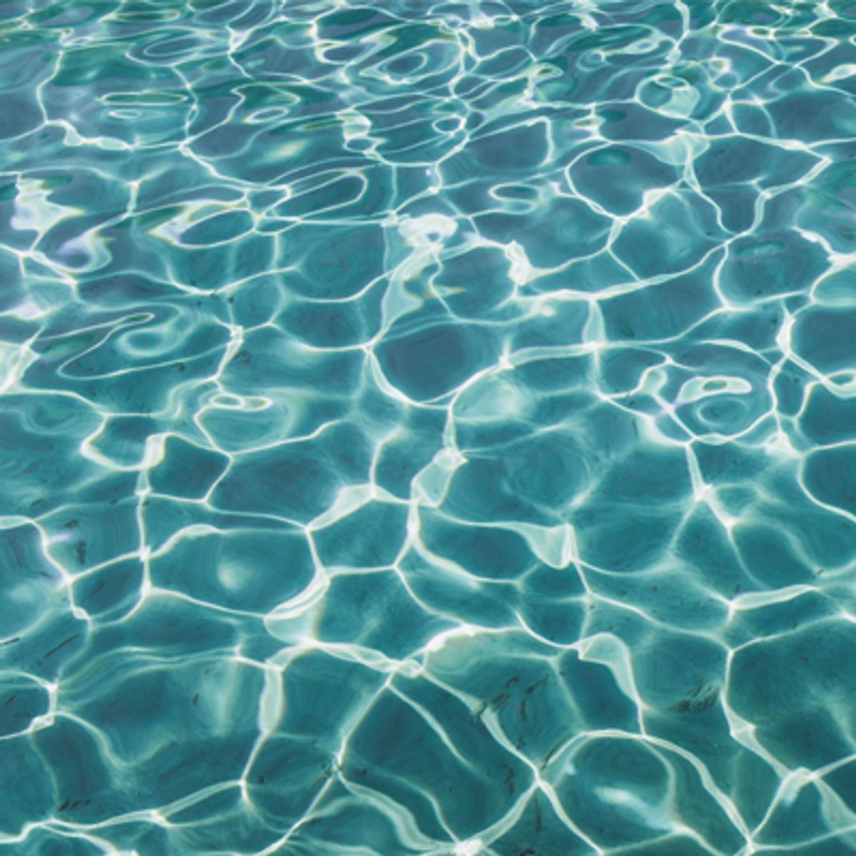 Newly Renovated Pool