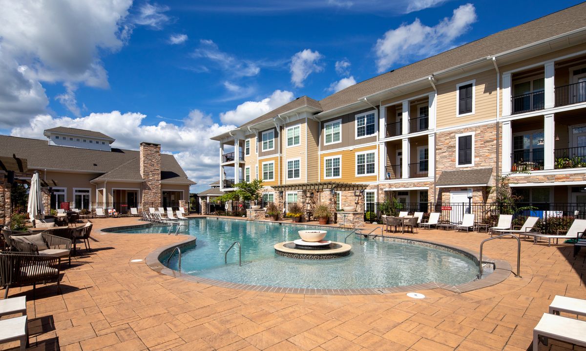 Red Knot at Edinburgh