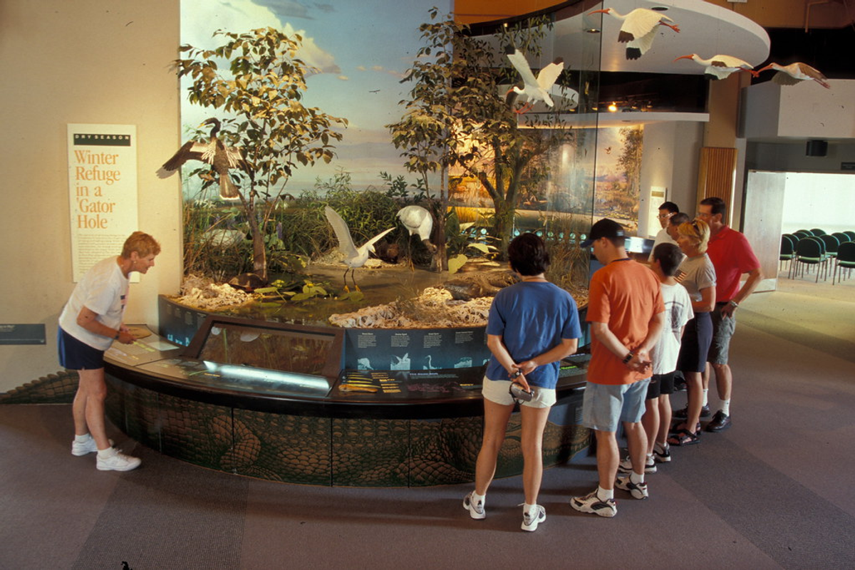 kids watching science
