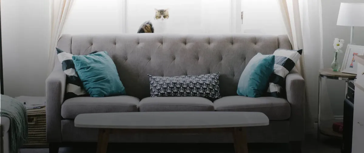 couch