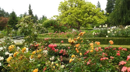botanic garden