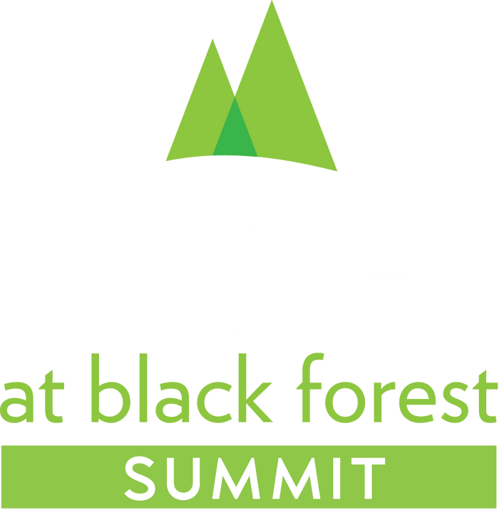 Logo Summit
